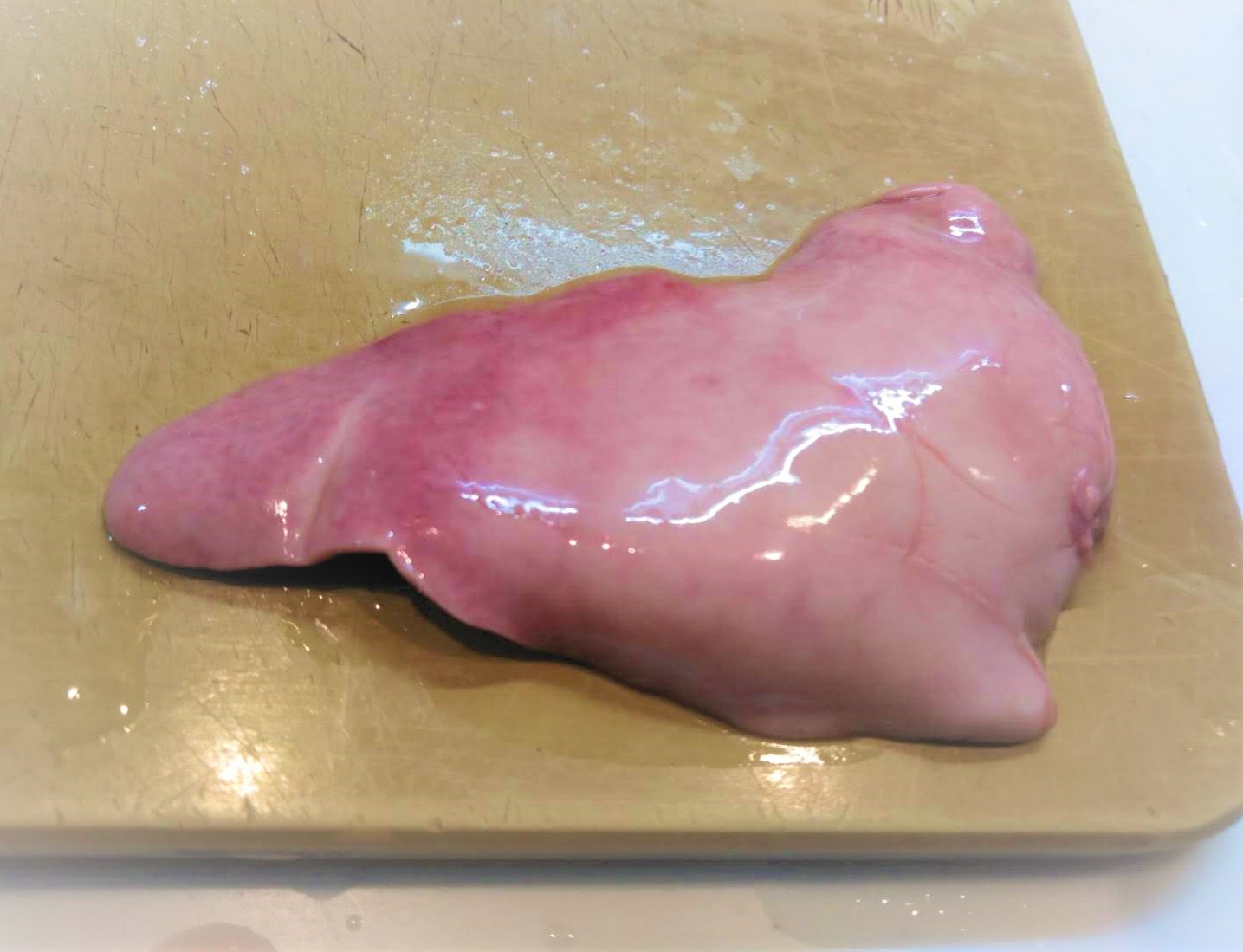 カワハギ マトウダイの 主に 肝食べ比べ 魚たべよ