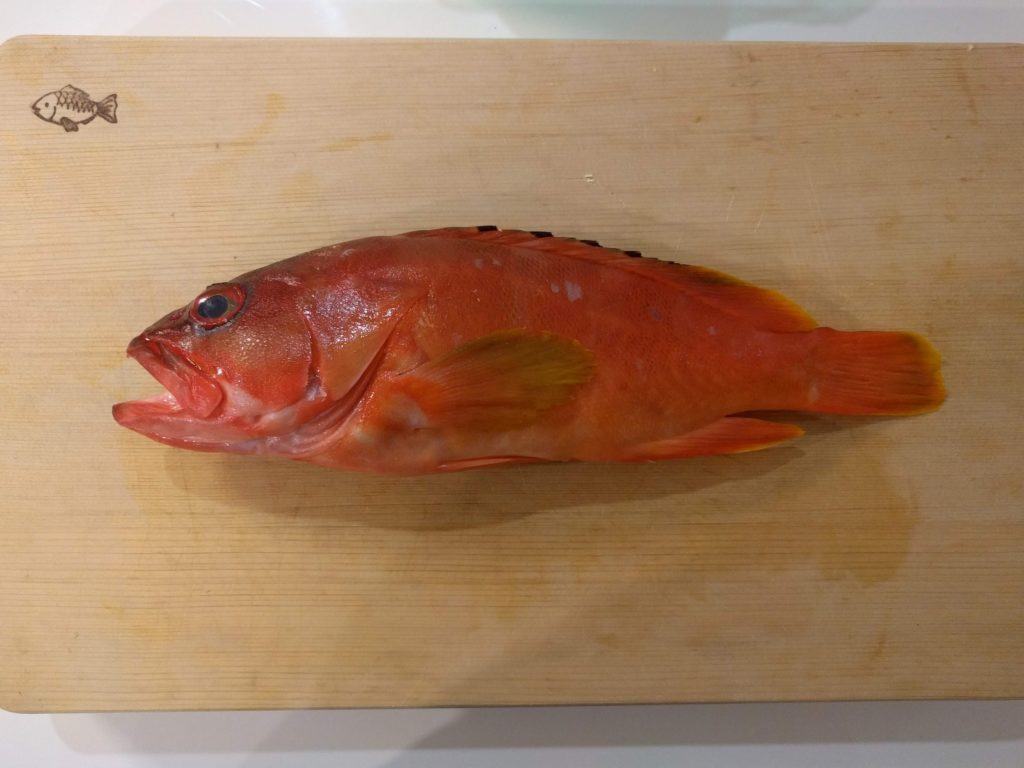 アカハタ アオハタ食べ比べてみた 似ている魚の比較 魚たべよ